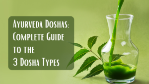 Ayurveda Doshas: Complete Guide to the 3 Dosha Types
