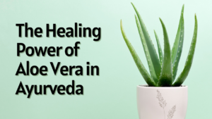 The Healing Power of Aloe Vera in Ayurveda