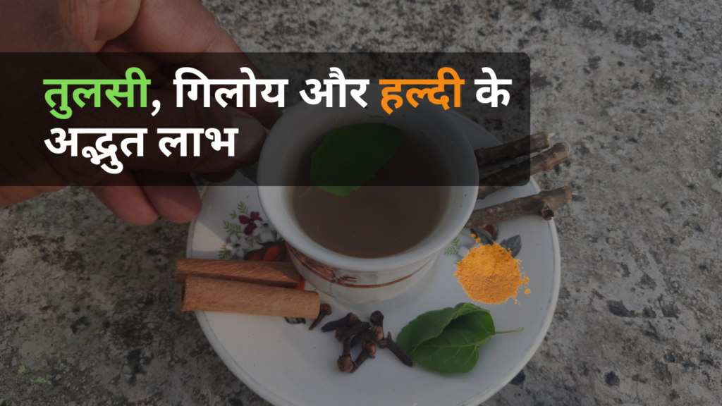 तुलसी, गिलोय और हल्दी के अद्भुत लाभ: आयुर्वेद का प्राकृतिक खजाना
